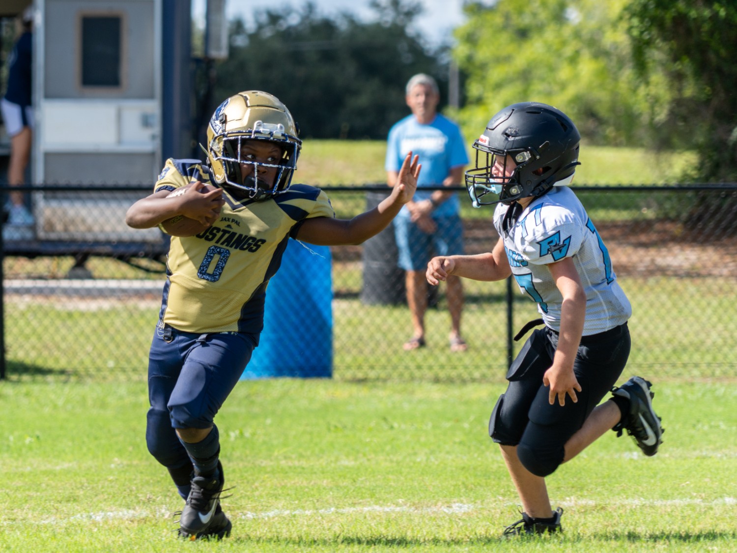 JaxPal
